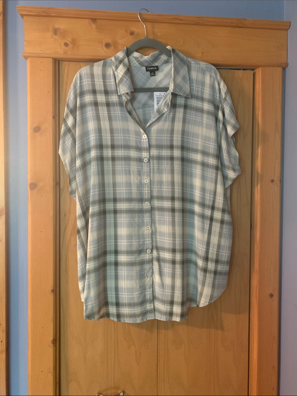 torrid Plaid Button-Up Shirt in Light Blue & Gray